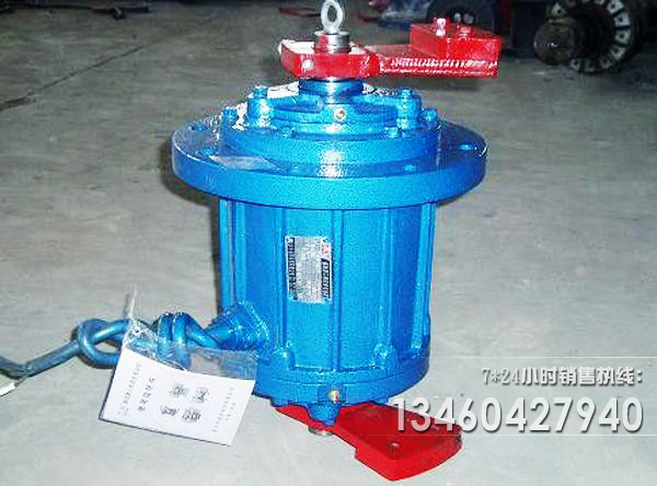 立式振動電機(jī)圖片