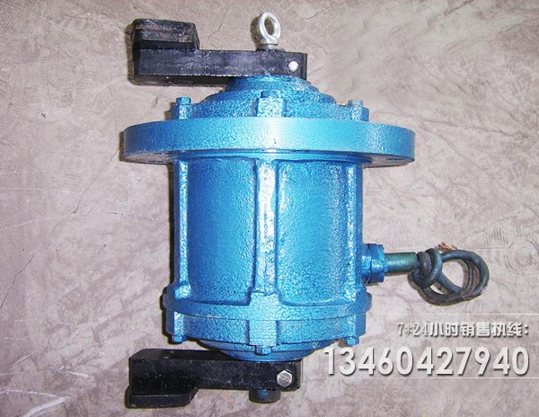 立式振動電機(jī)圖片