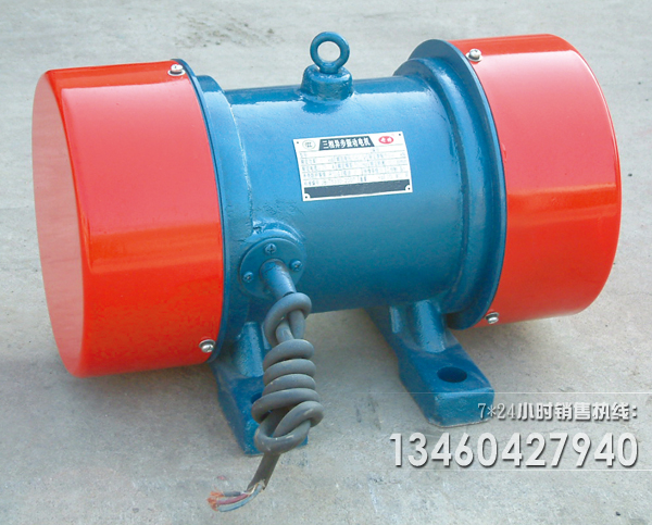 臥式振動電機(jī)圖片