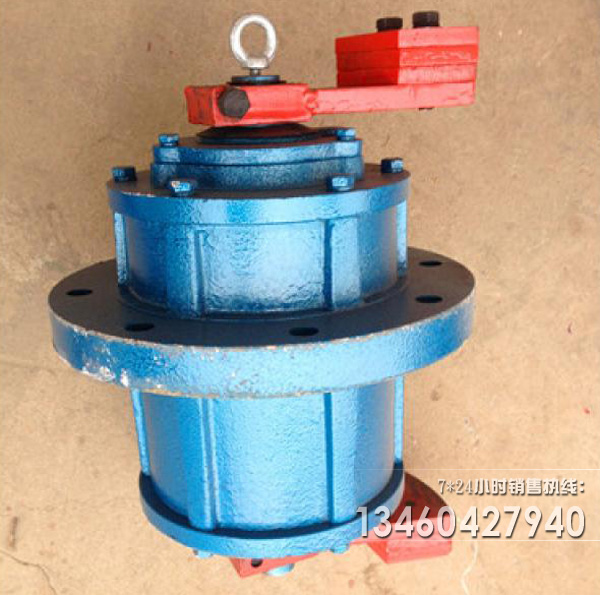 立式振動電機(jī)圖片